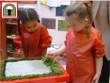 We draw a picture on the clay