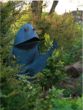 Our musical Frog!