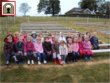 Alder cones are used to edge our picture