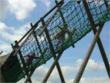 TC Club scaling new heights at conkers