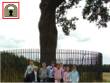 The Royal Oak, Boscobel