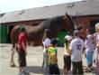 Park Hall Farm
