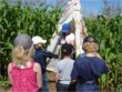 Maize Maze in the sun!
