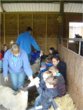 TC Club at Stockley Farm