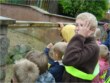 TC Club's excursion to Blackbrook Zoo