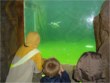 TC Club's children visiting Blackbrook