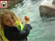 TC Club's children at Blackbrook Zoo