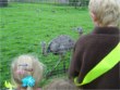 Holiday Club trip to Blackbrook